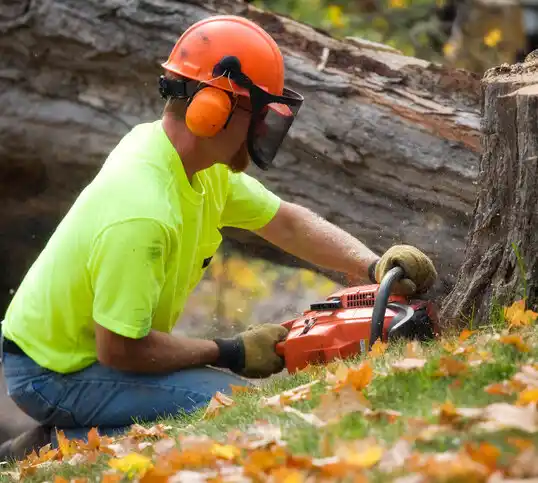 tree services Riverdale